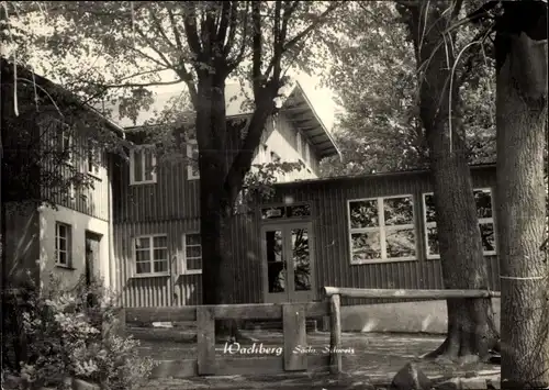 Ak Saupsdorf Sebnitz Sächsische Schweiz, Berggasthaus Wachberg