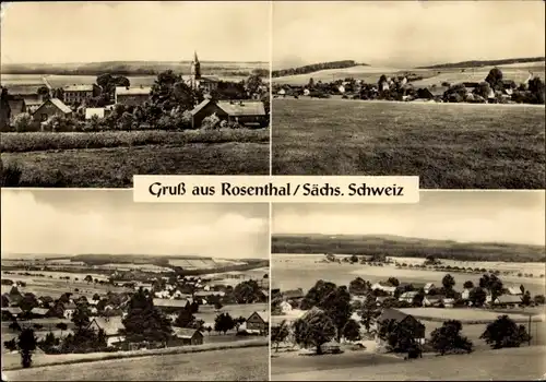 Ak Rosenthal Bielatal Sächsische Schweiz, Ortsansicht, Panorama