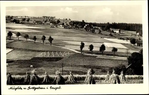 Ak Müglitz Altenberg im Erzgebirge, Panorama mit Ort und Gottgetreu, Felder, Heugarben