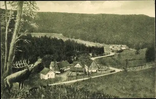 Ak Beerwalde Höckendorf Klingenberg im Erzgebirge, Beerwalder Mühle