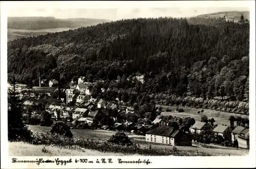 Ak Rechenberg Bienenmühle Erzgebirge, Blick auf den Ort, Wald