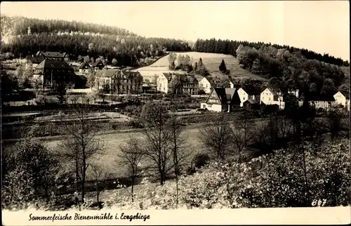 Ak Rechenberg Bienenmühle Erzgebirge, Blick auf den Ort, Wald