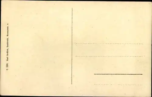 Ak Steinach Tirol, Blick auf den Ort, Gschnitztal