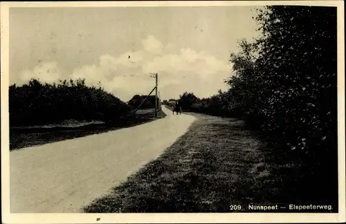 Ak Nunspeet Gelderland, Elspeterweg