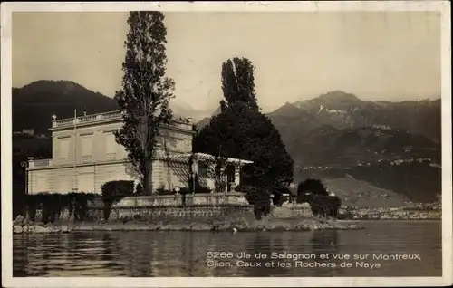 Ak Glion Montreux Kanton Waadt, Ile de Salagnon et vue sur Montreux