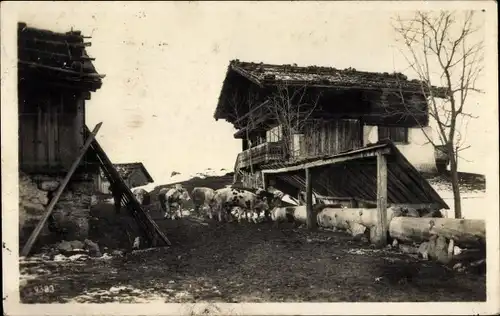 Foto Ak Ortschaft in der Schweiz, Bauernhof, Kühe, Holz
