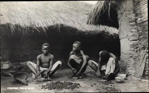 Ak Cracking Palm Nuts, Afrikaner vor einer Lehmhütte