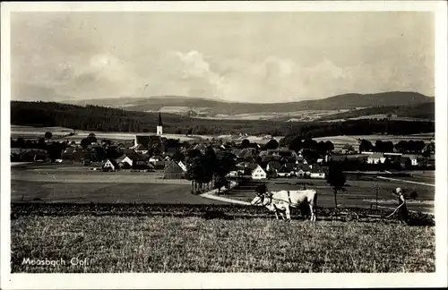Ak Moosbach in der Oberpfalz, Totalansicht, Pflug, Bauer