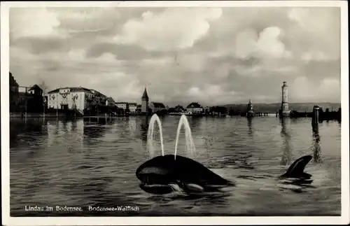 Ak Lindau am Bodensee Schwaben, Bodensee-Walfisch