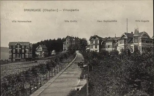 Ak Braunlage im Oberharz, Villenpartie, Villa Hohenzollern, Haus Sophienhöhe, Villa Auguste