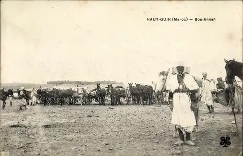 Ak Bou Annan Marokko, vue générale des chevaux