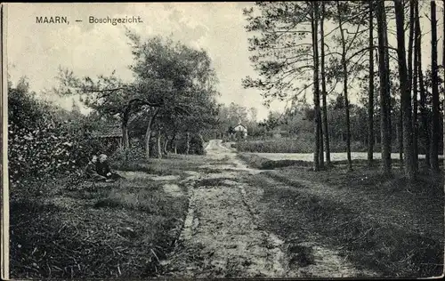 Ak Maarn Utrecht, Boschgezicht