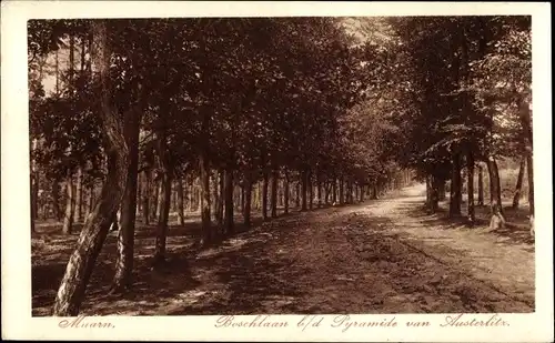 Ak Maarn Utrecht, Boschlaan b. d. Pyramide van Austerlitz