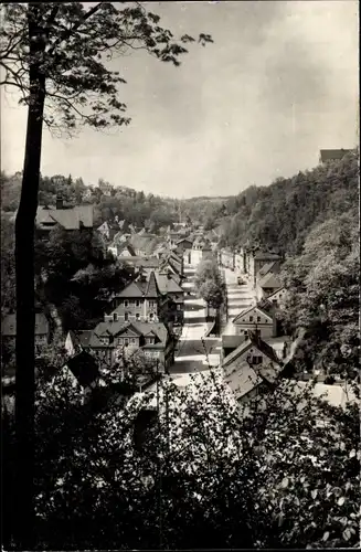 Ak Tharandt im Erzgebirge, Teilansicht