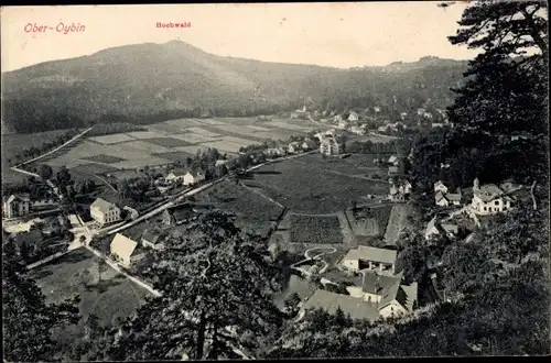 Ak Oybin in der Oberlausitz, Ortsansicht mit Hochwald