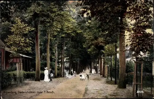 Ak Rijsenburg Utrecht Niederlande, Diederichslaan naar 't Bosch