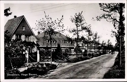 Ak IJsselstein Utrecht Niederlande, Hoge Biezen