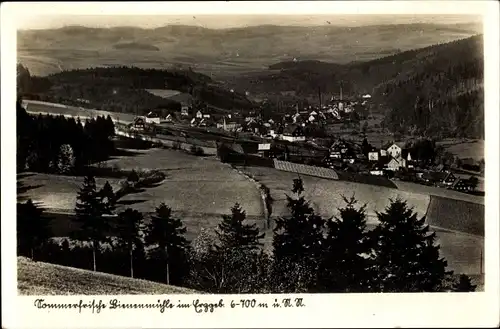 Ak Rechenberg Bienenmühle Erzgebirge, Panorama