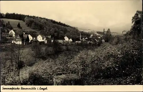 Ak Rechenberg Bienenmühle Erzgebirge, Teilansicht