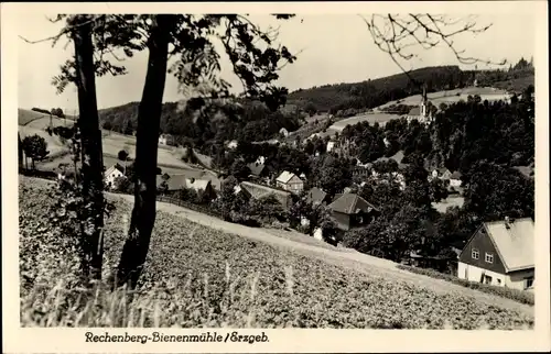 Ak Rechenberg Bienenmühle Erzgebirge, Teilansicht