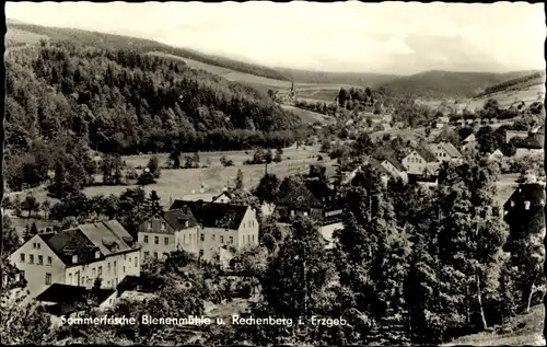 Ak Rechenberg Bienenmühle Erzgebirge, Teilansicht