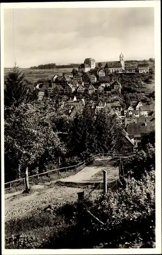 Ak Altensteig im Schwarzwald Württemberg, Panorama