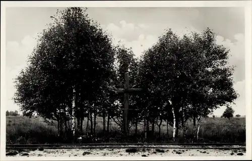 Ak Amsterdamscheveld Erica Drenthe Niederlande, Kruis, Kreuz