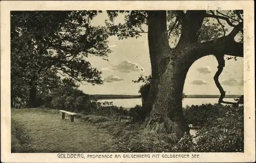 Ak Goldberg in Mecklenburg, Promenade am Galgenberg mit Goldberger See