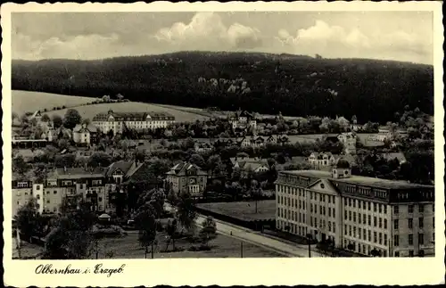 Ak Olbernhau im Erzgebirge, Panorama