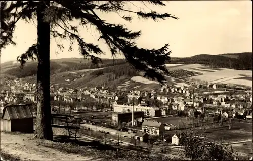 Ak Olbernhau im Erzgebirge, Panorama vom Hainberg