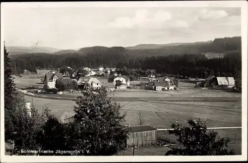 Ak Jägersgrün Tannenbergsthal im Vogtland, Panorama