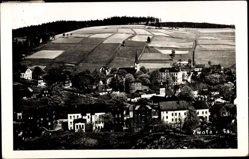 Ak Zwota im Vogtland Sachsen, Panorama