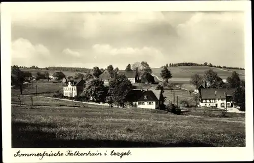 Ak Falkenhain Altenberg im Erzgebirge, Sommerfrische, Ortsansicht