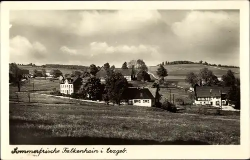 Ak Falkenhain Altenberg im Osterzgebirge, Panorama