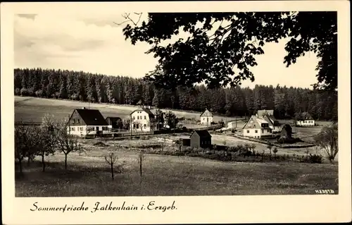 Ak Falkenhain Altenberg im Osterzgebirge, Panorama