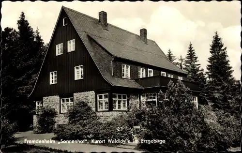 Ak  Waldidylle Altenberg im Erzgebirge, Fremdenheim Sonnenhof