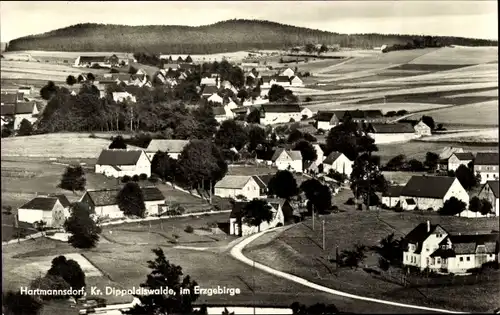 Ak Hartmannsdorf Reichenau im Erzgebirge, Ortsansicht