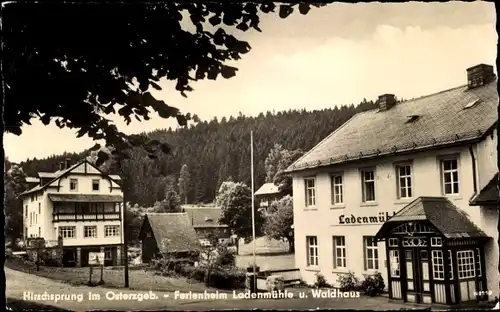 Ak Hirschsprung Altenberg im Erzgebirge, Ferienheim Ladenmühle und Waldhaus