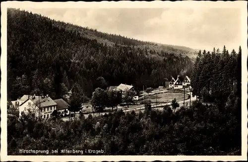 Ak Hirschsprung Altenberg im Erzgebirge, Gasthaus Ladenmühle