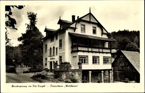 Ak Hirschsprung Altenberg Erzgebirge, Ferienheim Waldhaus