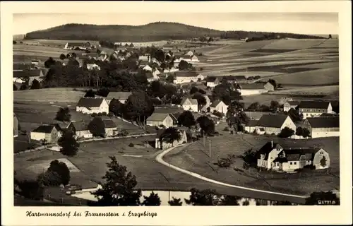 Ak Hartmannsdorf Reichenau im Erzgebirge, Ortsansicht