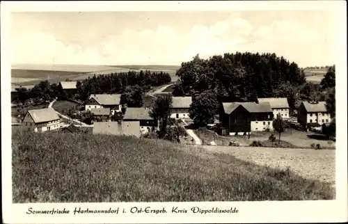 Ak Hartmannsdorf Reichenau im Erzgebirge, Ortsansicht