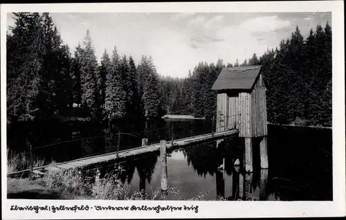 Ak Clausthal Zellerfeld im Oberharz, Partie am unteren Kellerhalsteich, Wald