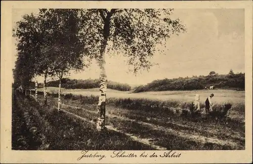 Ak Jesteburg in Niedersachsen, Schnitter bei der Arbeit