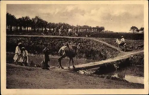 Ak Cairo Kairo Ägypten, Arabian landscape