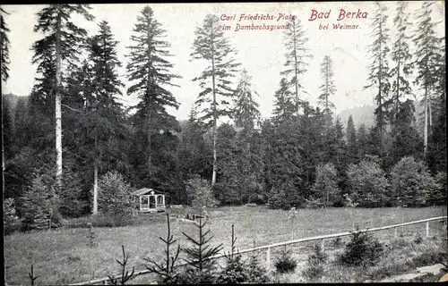 Ak Bad Berka in Thüringen, Carl Friedrichs Platz im Dambachsgrund