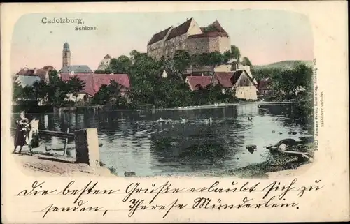 Ak Cadolzburg in Mittelfranken, Schloss