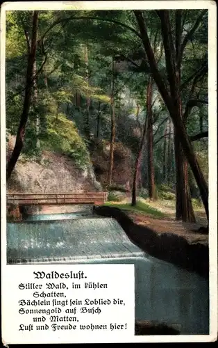 Gedicht Ak Waldeslust, Stiller Wald, im kühlen Schatten, Bächlein singt sein Loblied dir