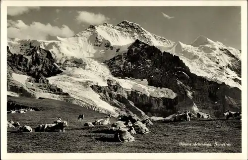 Ak Kanton Bern, Berner Oberland, Kleine Scheidegg, Jungfrau