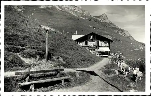 Ak Lauterbrunnen Kanton Bern, Hotel Obersteinberg